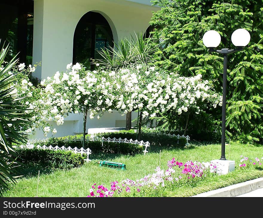 A park in a tropical city with a sidewalk and lamps. A park in a tropical city with a sidewalk and lamps