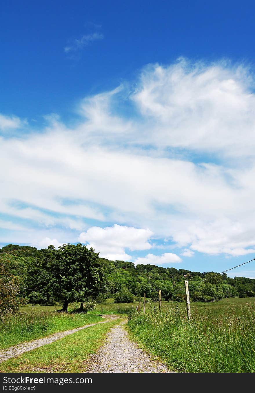 Countryside View