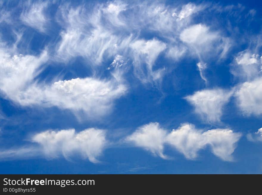 Delicate dandelion-like clouds in the sky. Delicate dandelion-like clouds in the sky