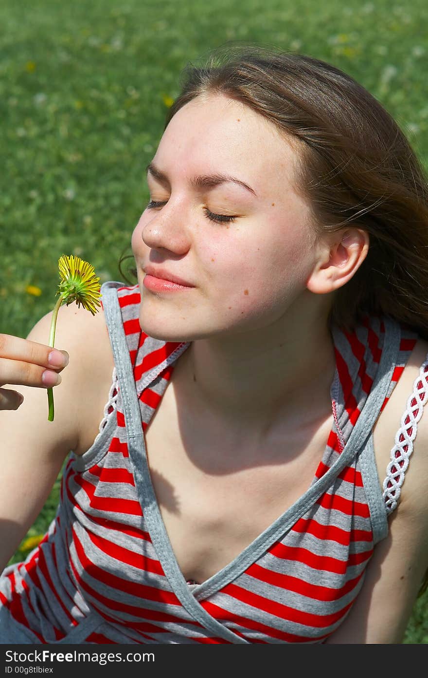 Portrait of the nice young girl with a yellow flower. Portrait of the nice young girl with a yellow flower