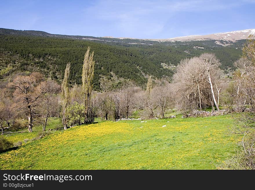 Catalan Pyrenees