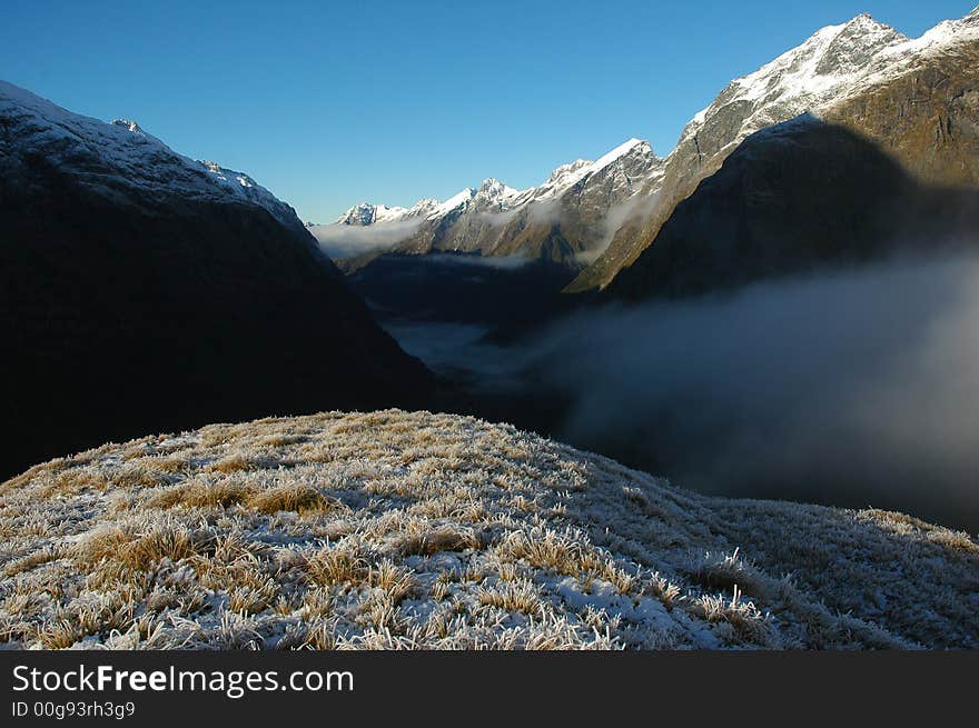 Milford track landscape