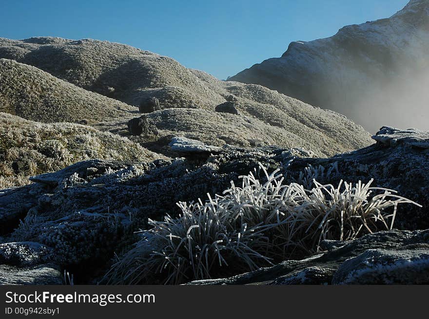 Frost on McKinnon Pass. The Milford Track, New Zealand. Frost on McKinnon Pass. The Milford Track, New Zealand.