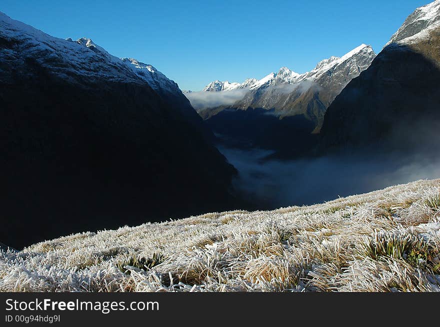 Milford Track Landscape