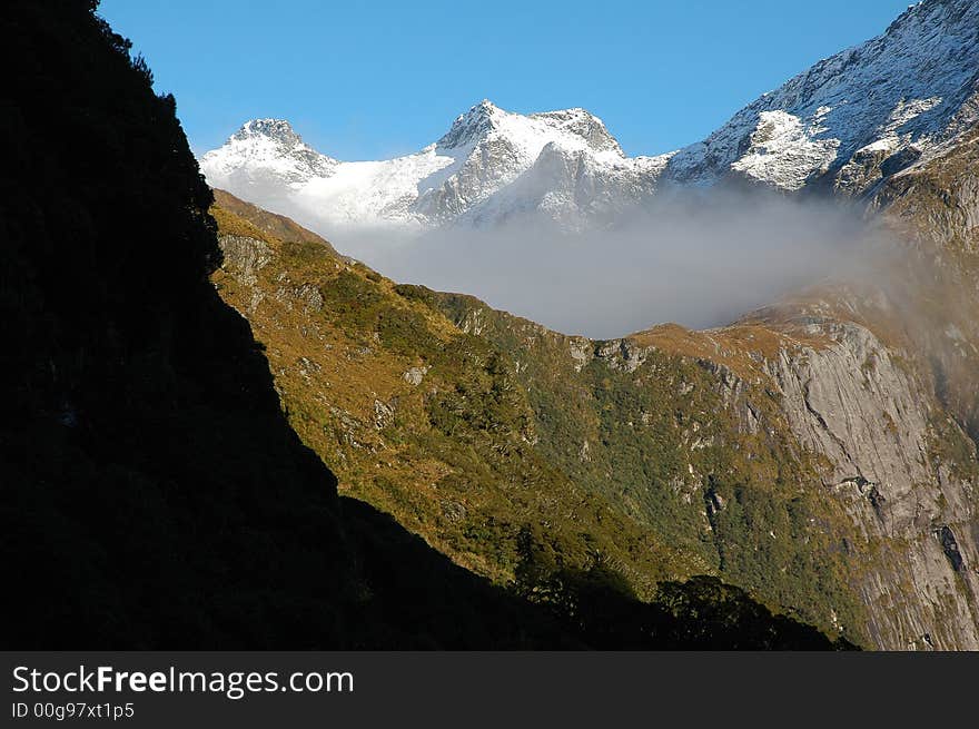 Milford track landscape