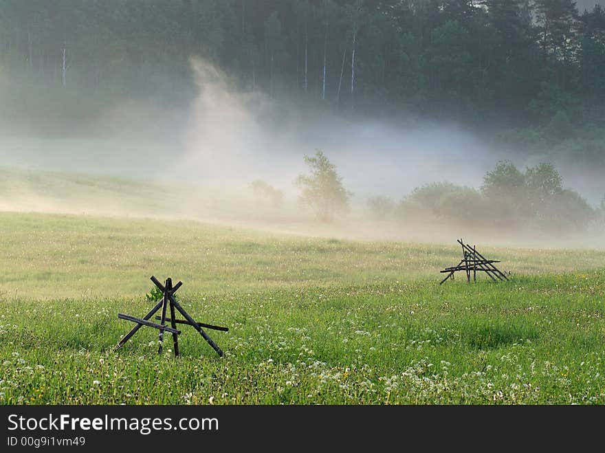 Morning fog