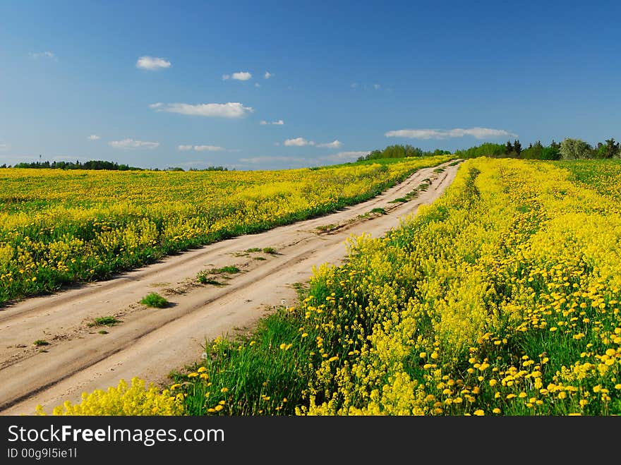 Rural road among a spring field. Rural road among a spring field