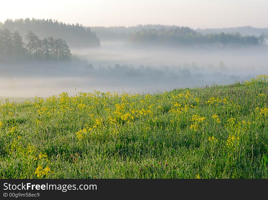 Morning fog