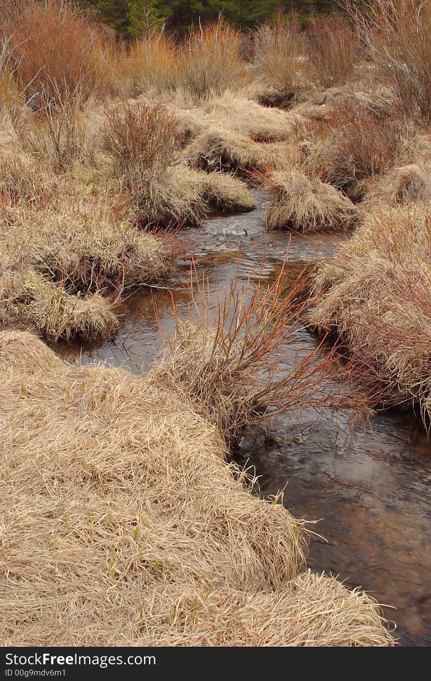 Creek flowing through Hallowell Park - Rocky Mountain National Park