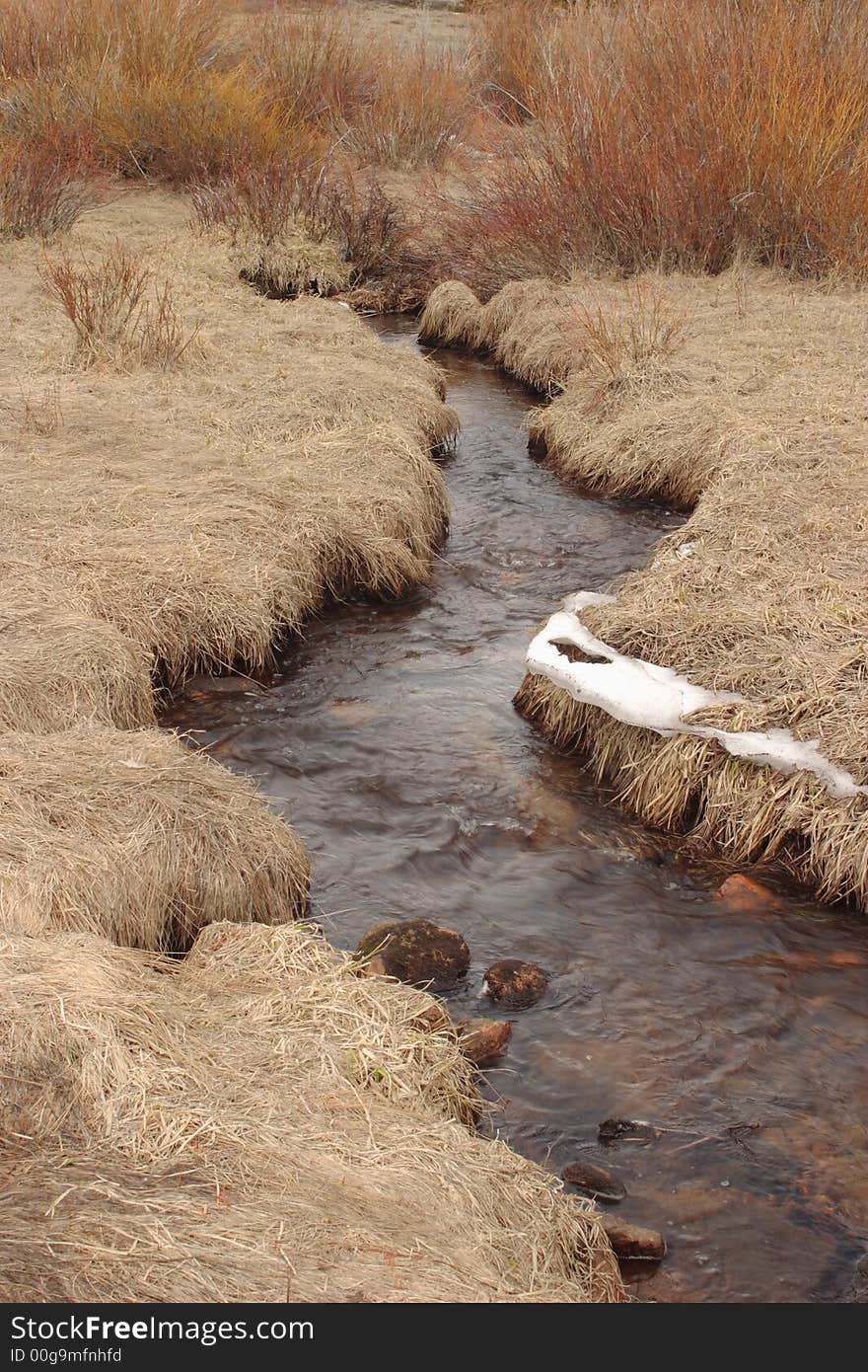 Creek flowing through Hallowell Park - Rocky Mountain National Park