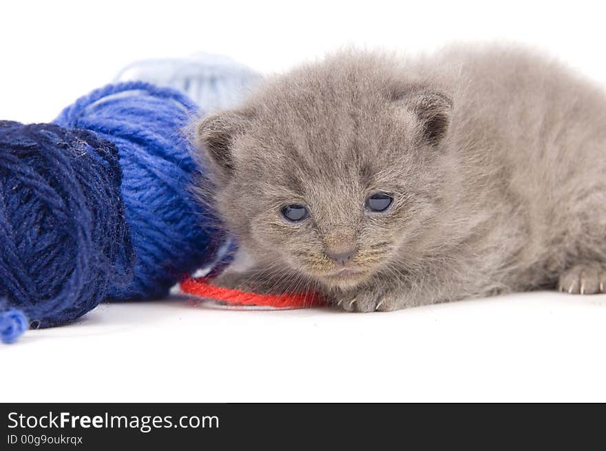 Tired kitten and ball of yarn