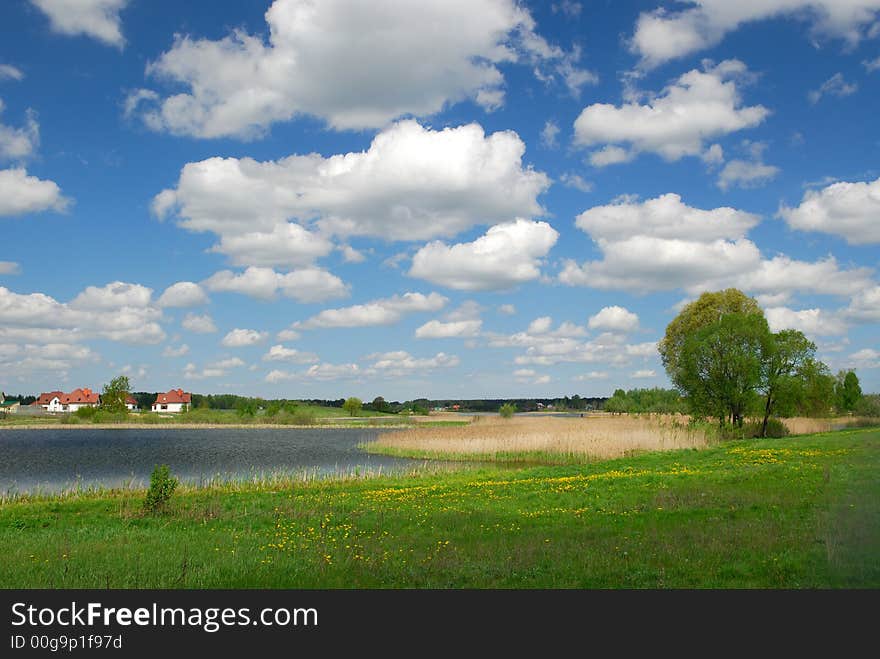 Green meadow on a background of the blue sky. Green meadow on a background of the blue sky