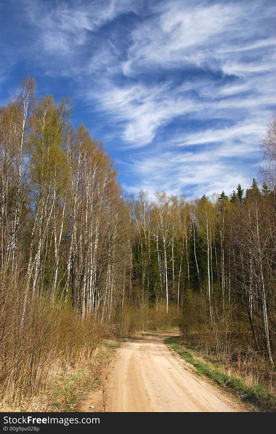 Rural road to a wood on a background of the beautiful sky. Rural road to a wood on a background of the beautiful sky