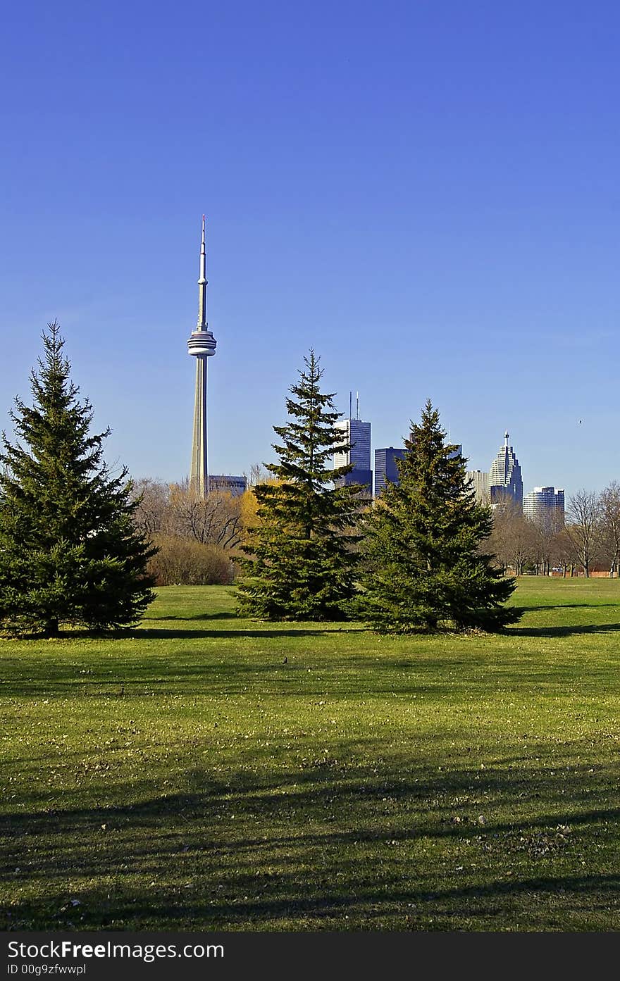 Toronto Skyline from Park