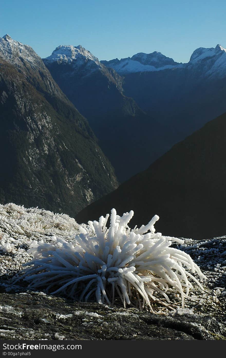 The Milford Track, New Zealand. The Milford Track, New Zealand.