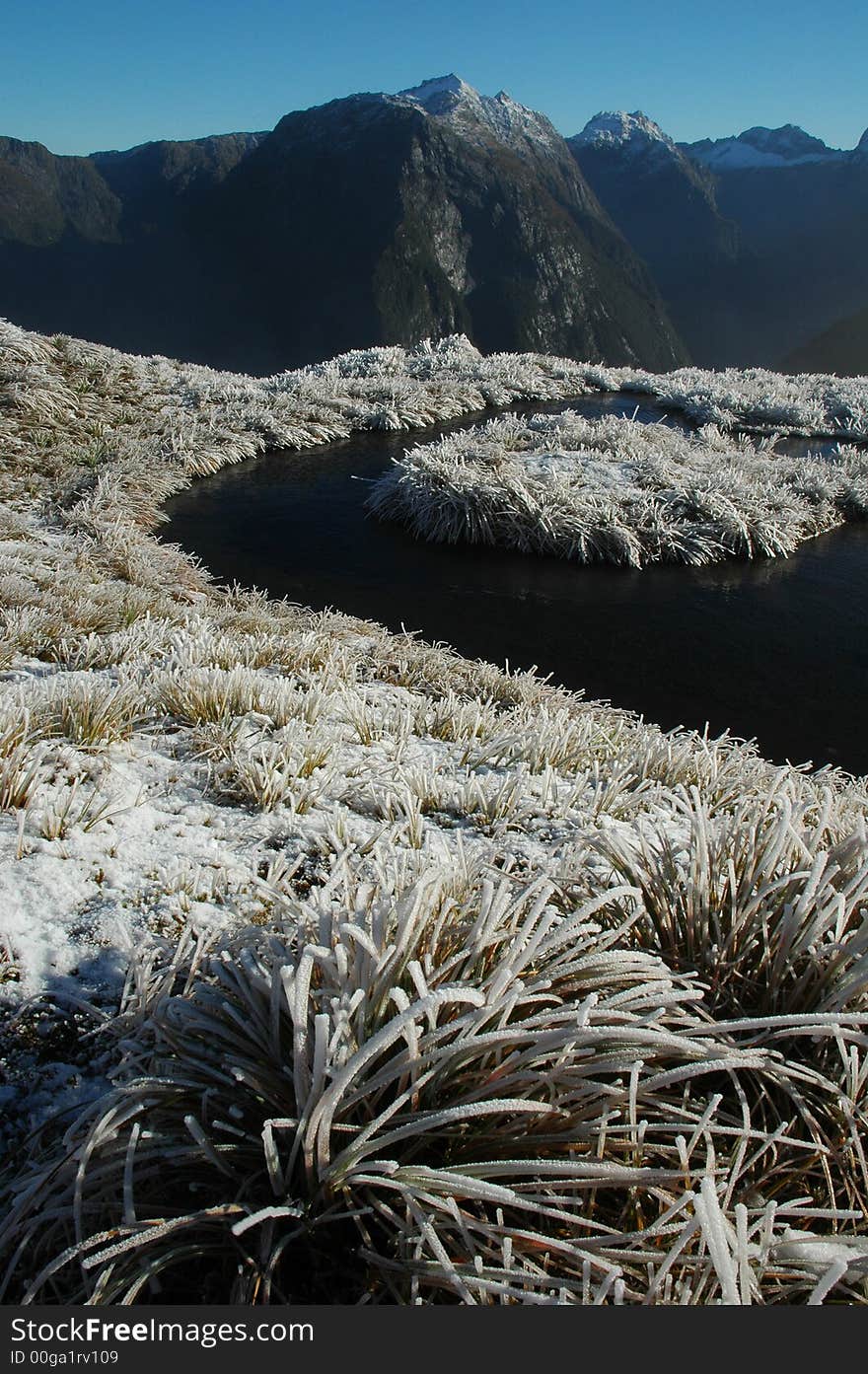 Milford track landscape