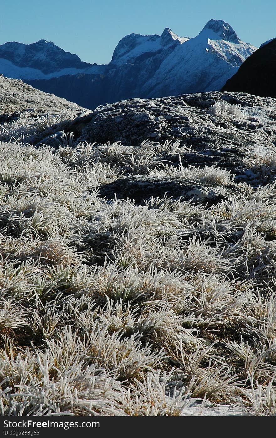 Milford track landscape