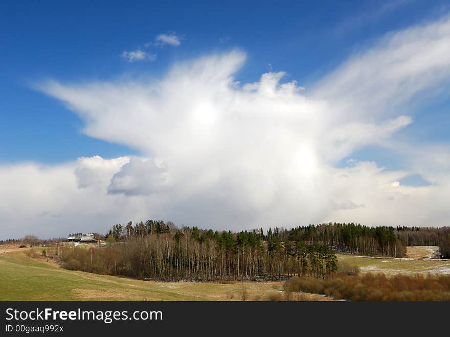 Spring landscape with the blue sky