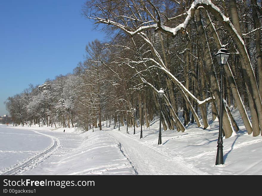 The winter park, trees, snow