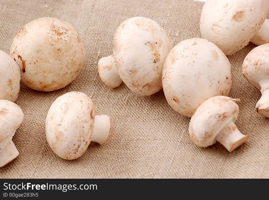 Many mushrooms on the table