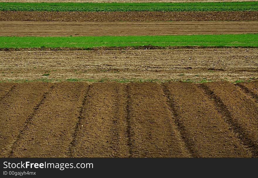 A lines on agricultural fields. A lines on agricultural fields