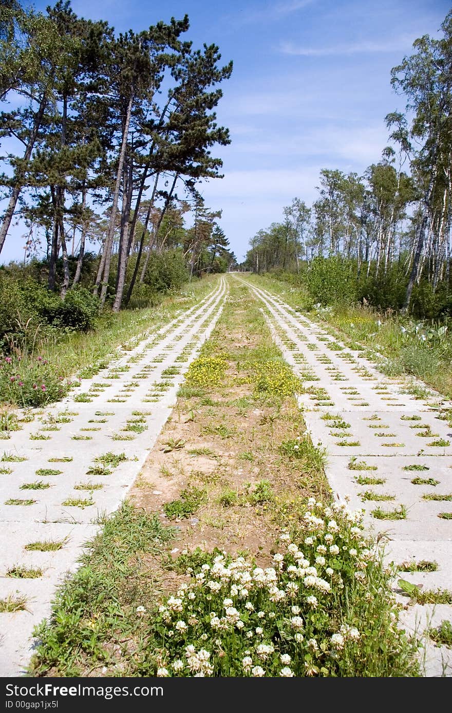 An empty narrow path made of concrete slabs, leading deep into the background. The Baltic sea shoreline, some trees. Clear blue sky.

<a href='http://www.dreamstime.com/baltic-sea-scenics.-seaside-towns-and-villages-as-well.-rcollection3976-resi208938' STYLE='font-size:13px; text-decoration: blink; color:#FF0000'><b>MORE BALTIC PHOTOS »</b></a>. An empty narrow path made of concrete slabs, leading deep into the background. The Baltic sea shoreline, some trees. Clear blue sky.

<a href='http://www.dreamstime.com/baltic-sea-scenics.-seaside-towns-and-villages-as-well.-rcollection3976-resi208938' STYLE='font-size:13px; text-decoration: blink; color:#FF0000'><b>MORE BALTIC PHOTOS »</b></a>