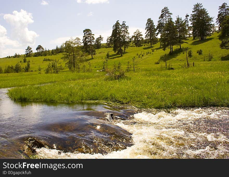 Pines, Grass And Rapids