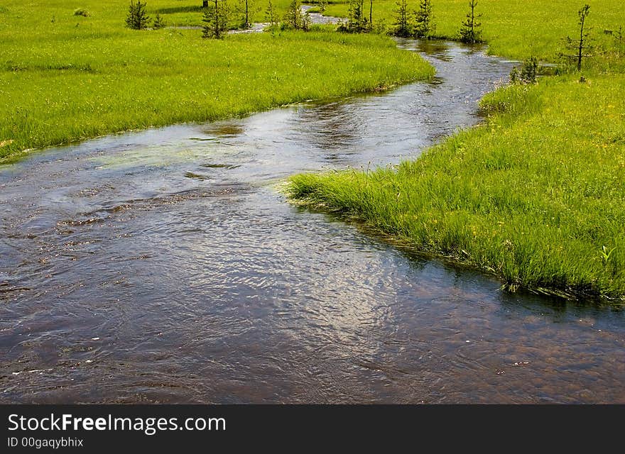 A river on the  beautiful mountain Zlatibor. A river on the  beautiful mountain Zlatibor