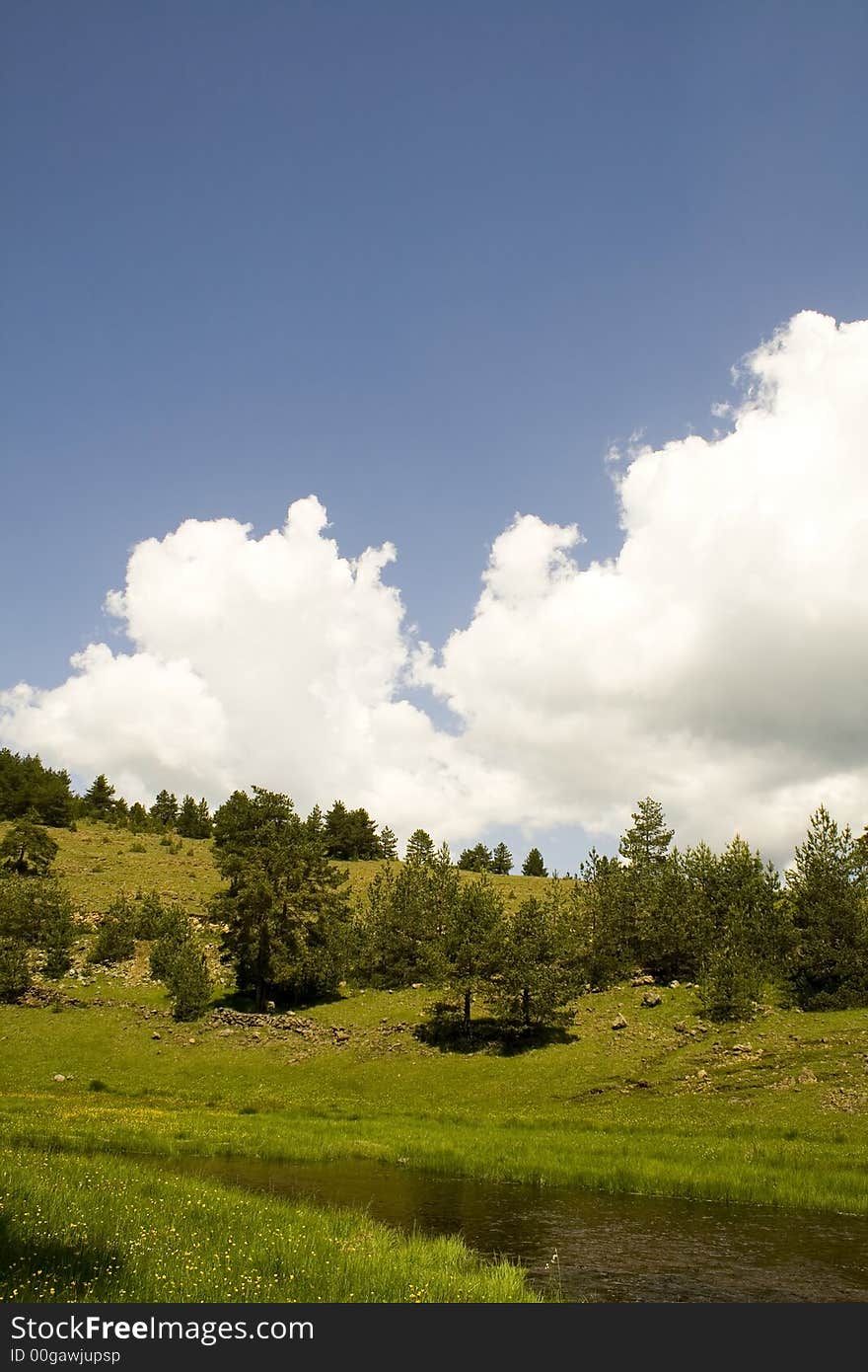 Zlatibor Mountain Moods