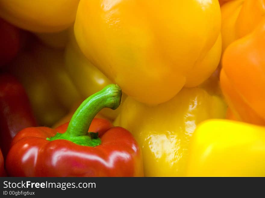 Hot Pepper Colors