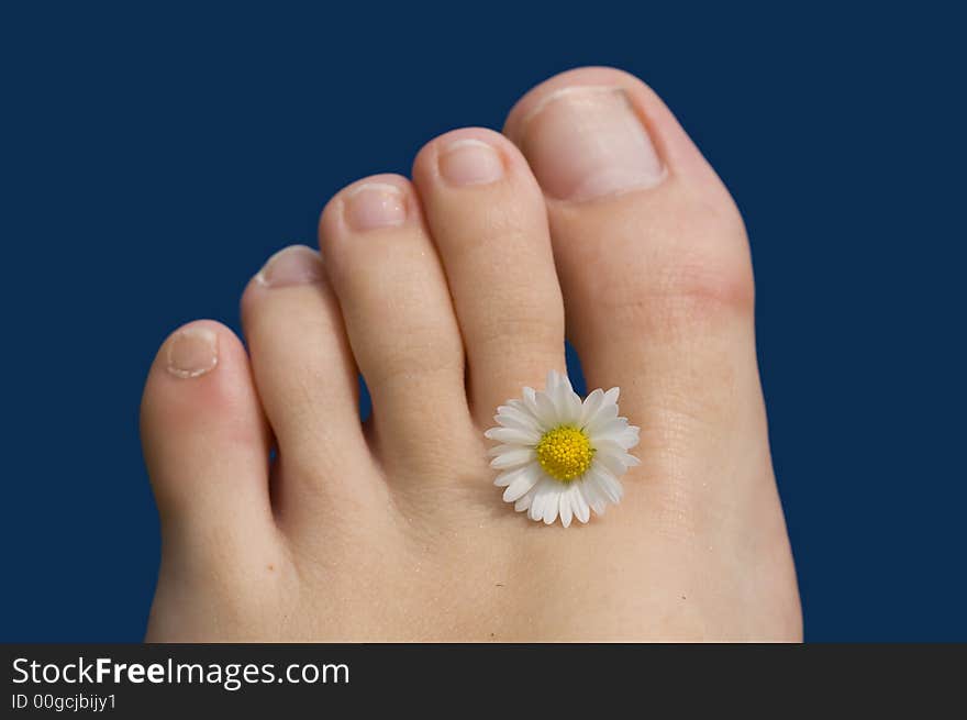 Summer feet with a flower. Summer feet with a flower