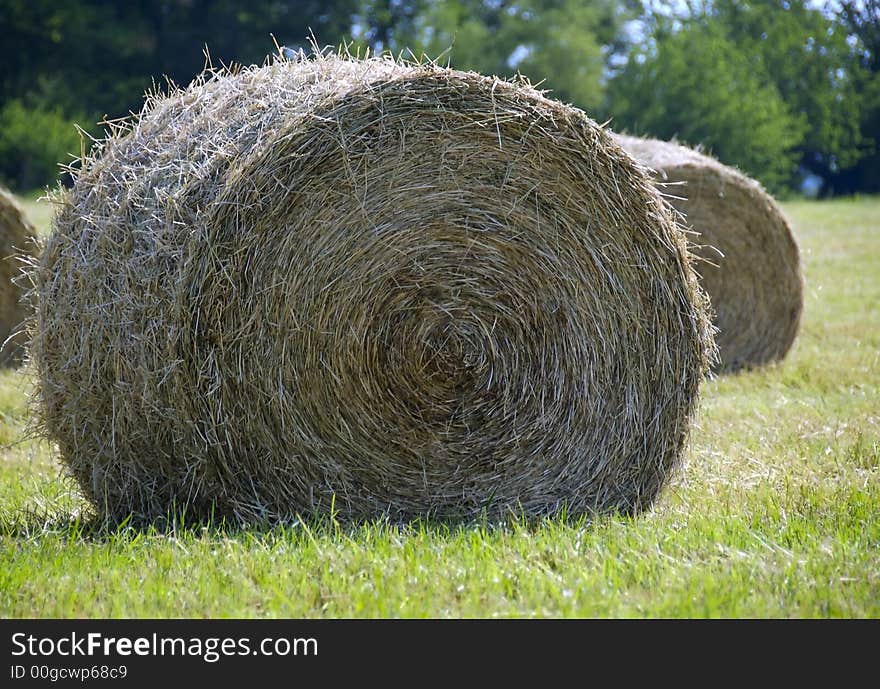 A freshly cut bale of hay dries in the warm summer sun. A freshly cut bale of hay dries in the warm summer sun