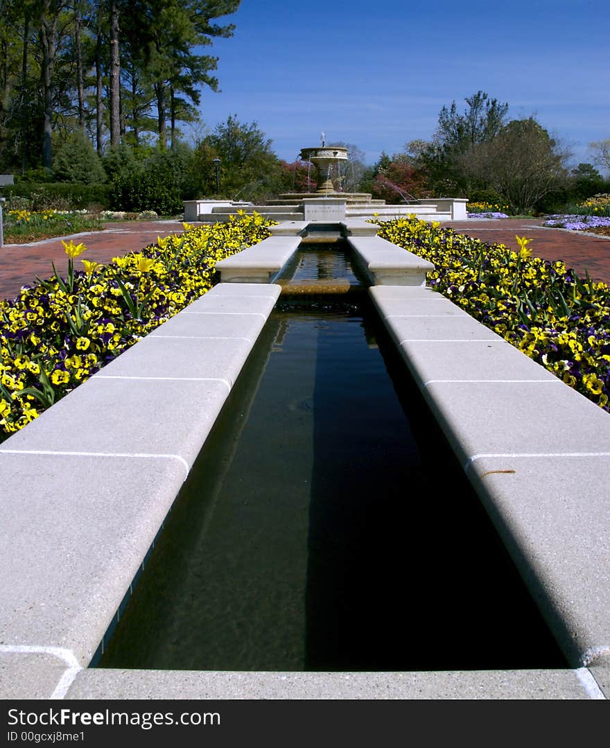 Pool and Fountain