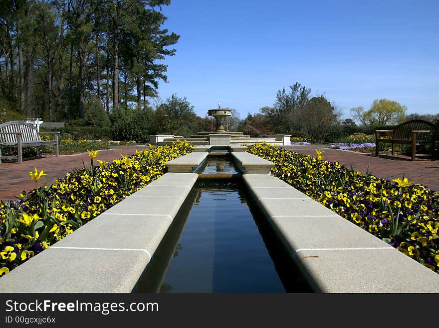 A long pool and fountain surrounded by fresh spring flowers. A long pool and fountain surrounded by fresh spring flowers