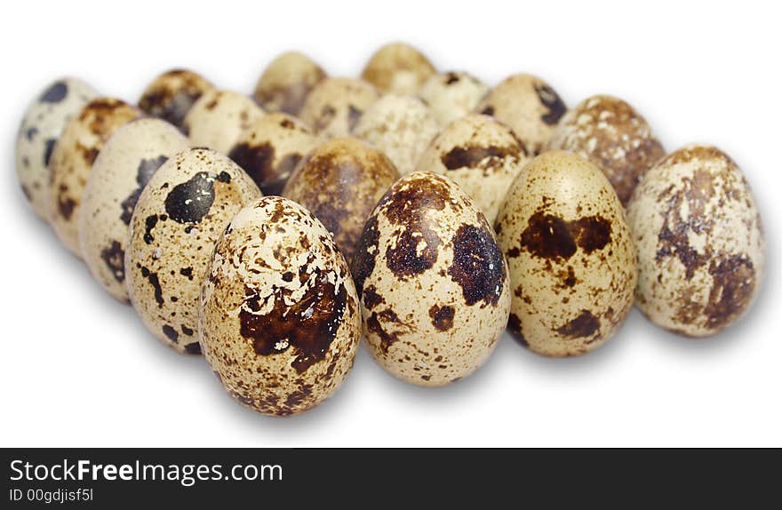 Quail eggs isolated objects over the white background