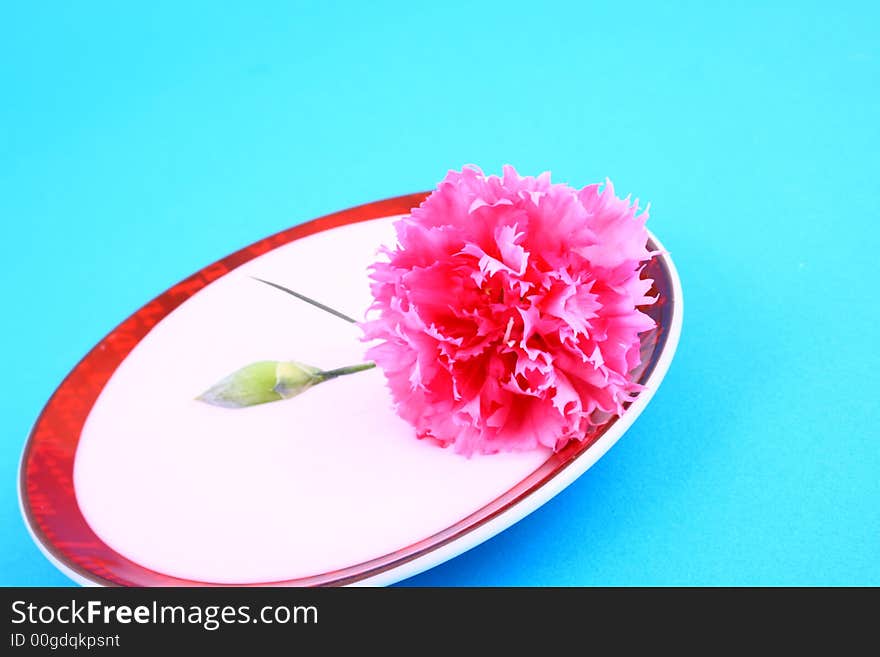 Body cream with flower petals on white towel, closeup. Body cream with flower petals on white towel, closeup