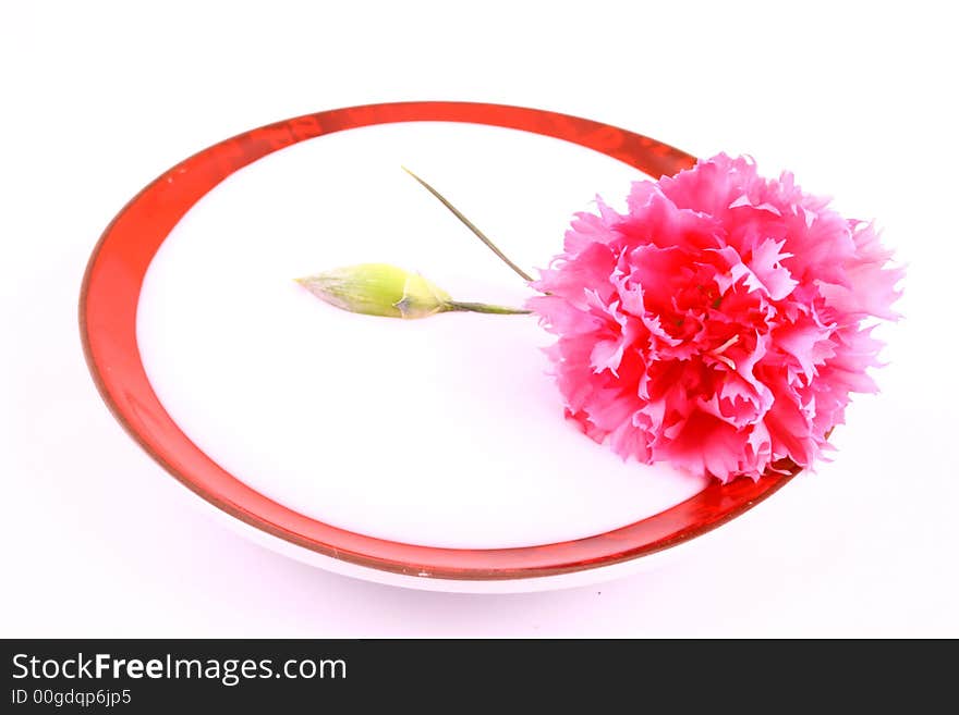 Body cream with flower petals on white towel, closeup. Body cream with flower petals on white towel, closeup