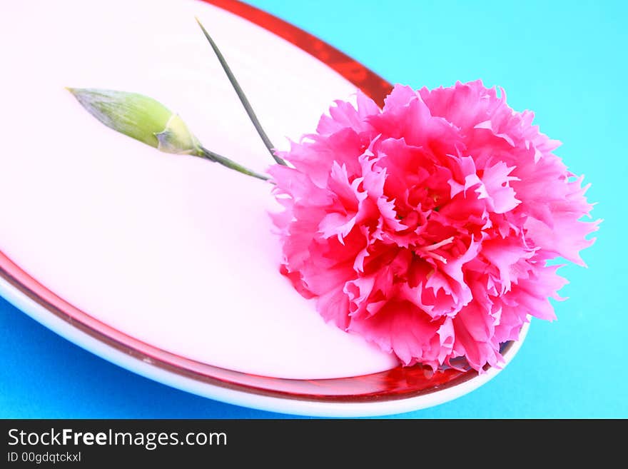 Body cream with flower petals on white towel, closeup. Body cream with flower petals on white towel, closeup