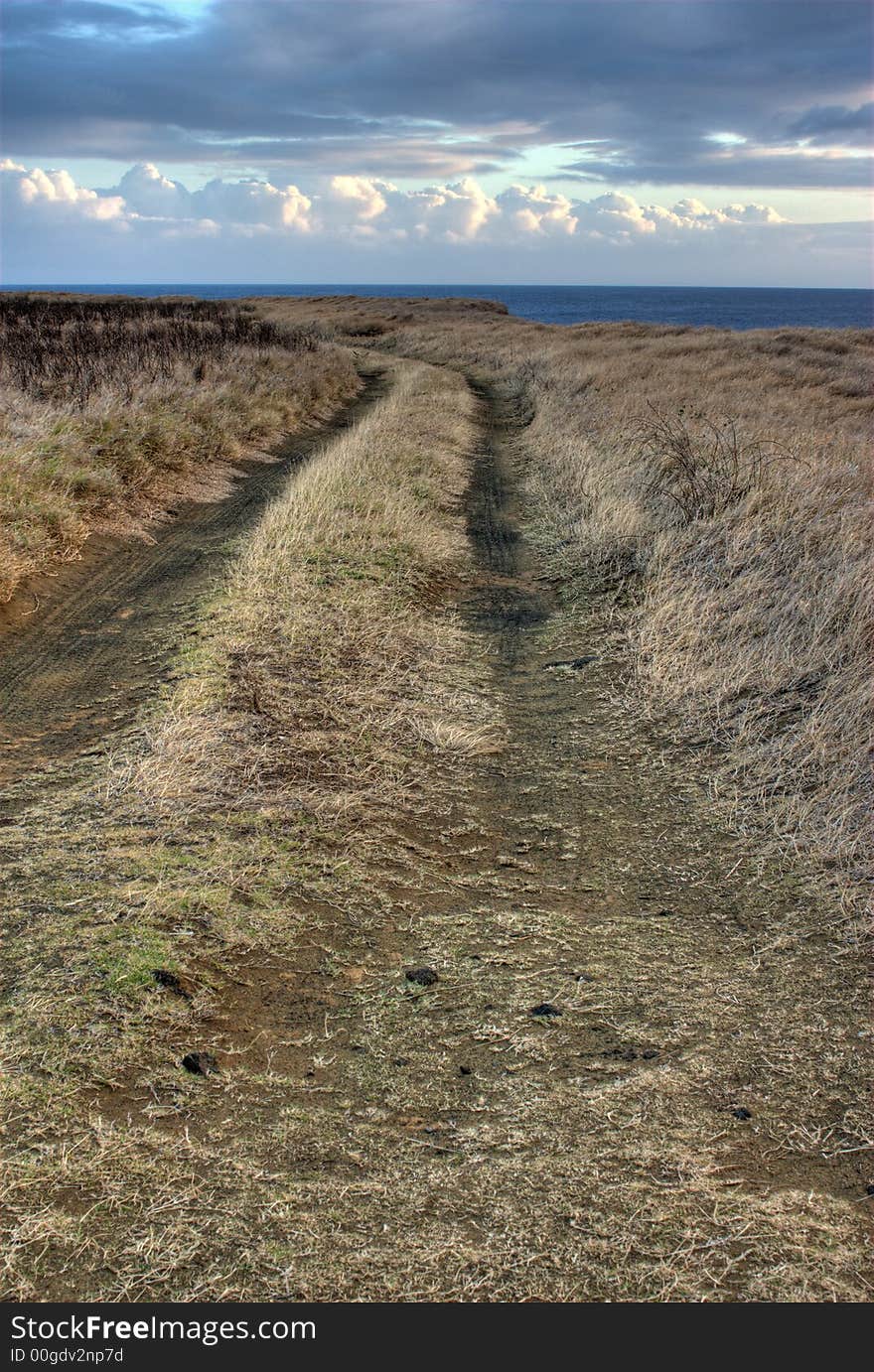 Local road along coastline