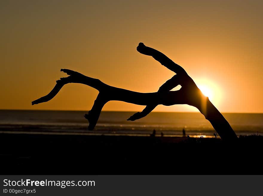 Sunset in the pacific ocean. Sunset in the pacific ocean