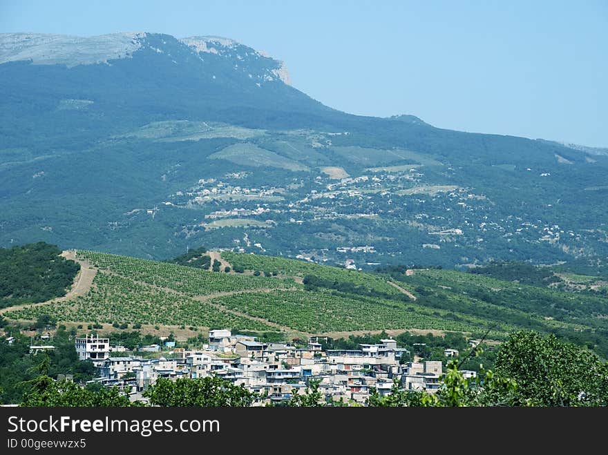 Settlement and vineyards at bottom of the big mountain