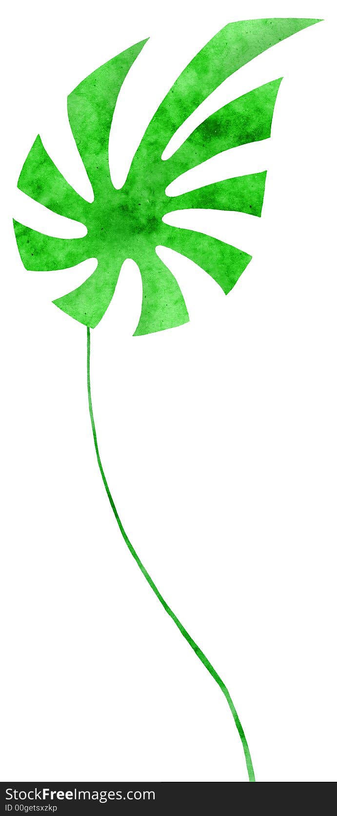 Stylized exotic leaf, collage , white background