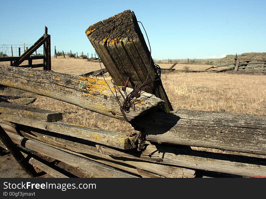 Old fence still standing, Oregon