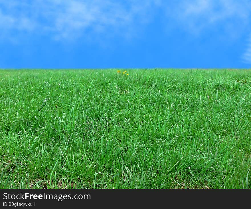 Green lawn and the blue sky. This photo - an ideal material for creation of a collage. Green lawn and the blue sky. This photo - an ideal material for creation of a collage.