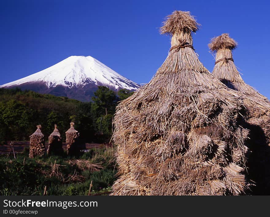 Traditional bales of rice with Mount Fuji