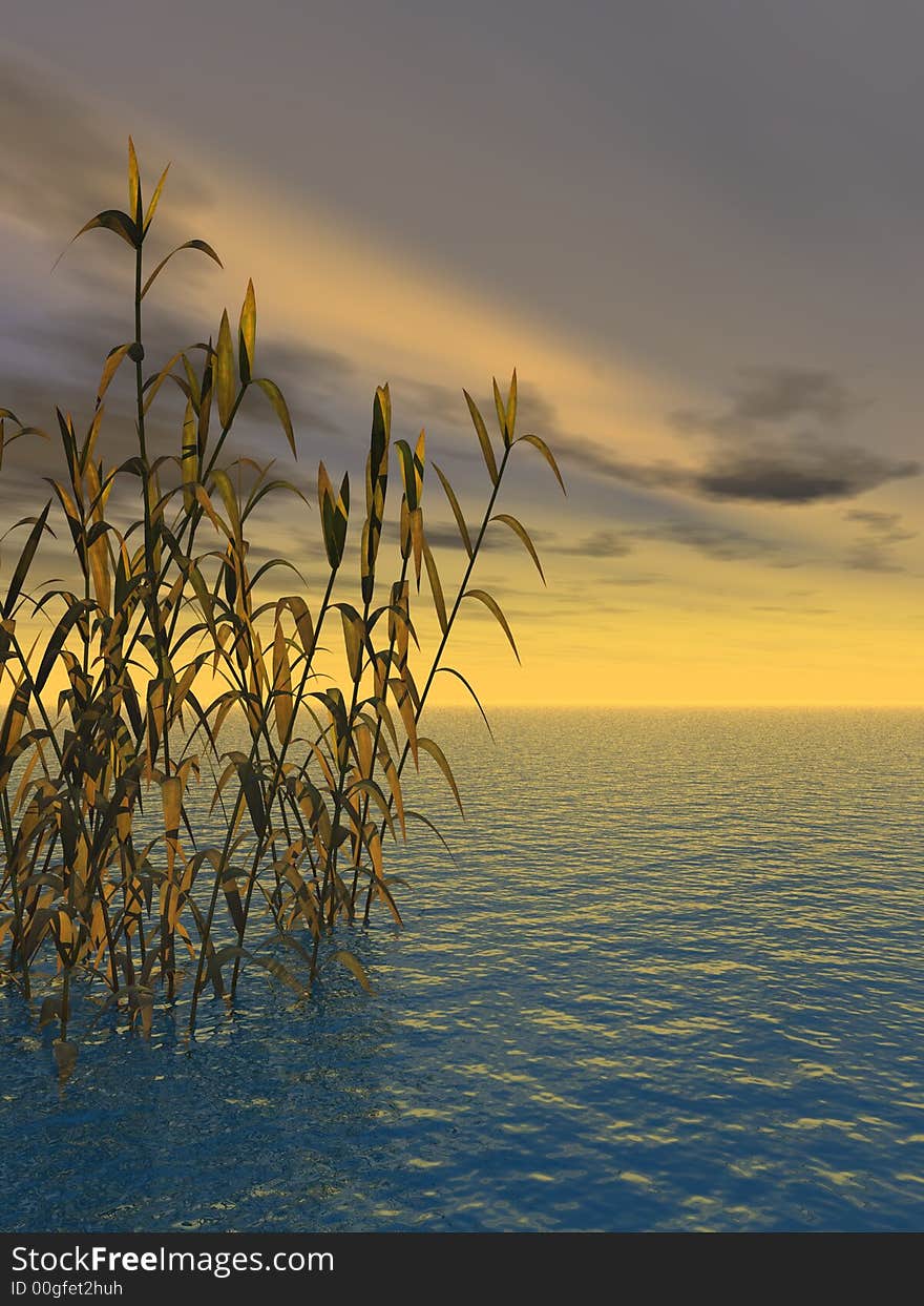 Water plants on a sea sunset  background  -  3D scene. Water plants on a sea sunset  background  -  3D scene.