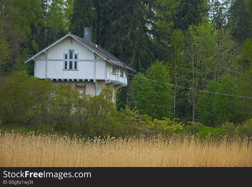 Small house in the middle of a forest