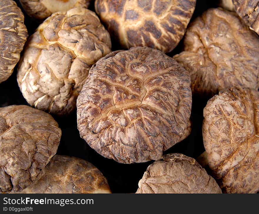 Dried Mushrooms