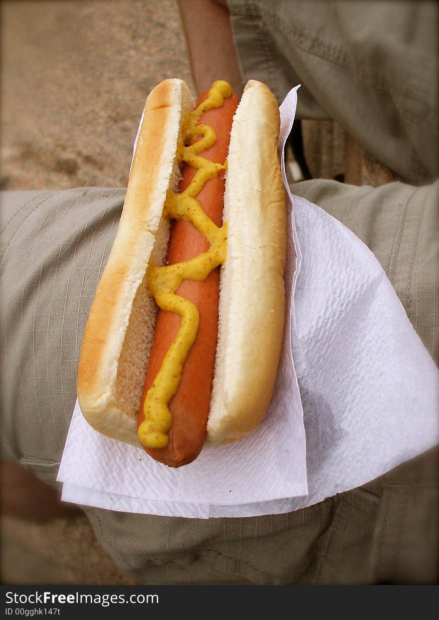 Summertime hot dog with mustard in the park