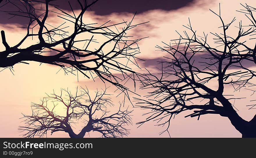 Tree silhouettes  at sunset - 3d scene. Tree silhouettes  at sunset - 3d scene.